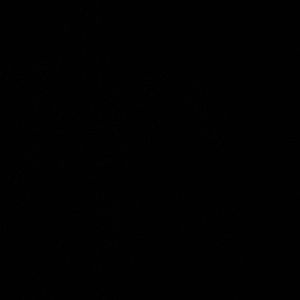 Meet your Posher, Diamond